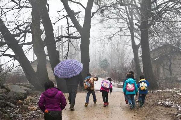 河南有個“古樹王國”