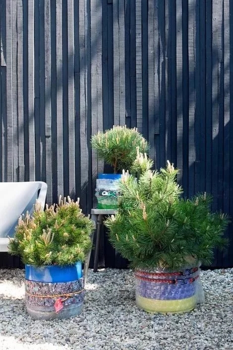 荷蘭園藝行業(yè)剛剛發(fā)布了2018年花藝設(shè)計趨勢