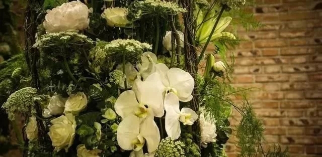 荷蘭園藝行業(yè)剛剛發(fā)布了2018年花藝設(shè)計趨勢