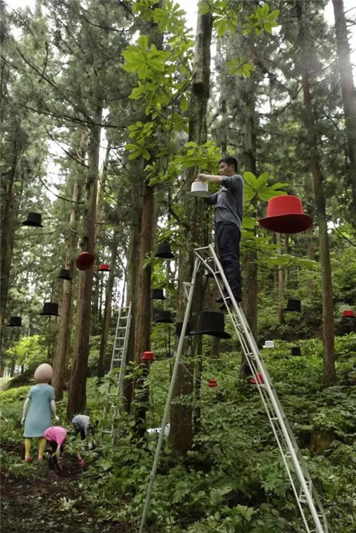 公共藝術(shù)如何激活城市與鄉(xiāng)村