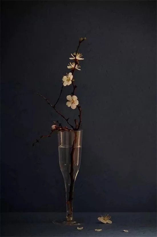 你家房子需要一點花藝