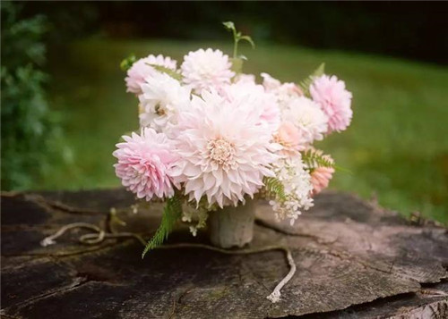 超美的插花作品，花藝師必學！