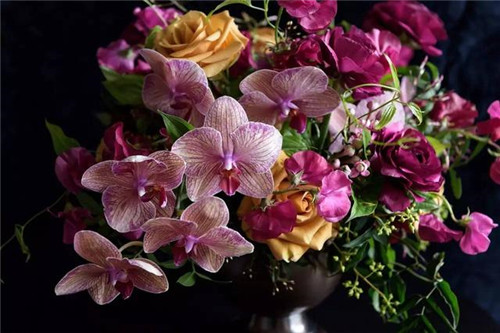 超美的插花作品，花藝師必學！