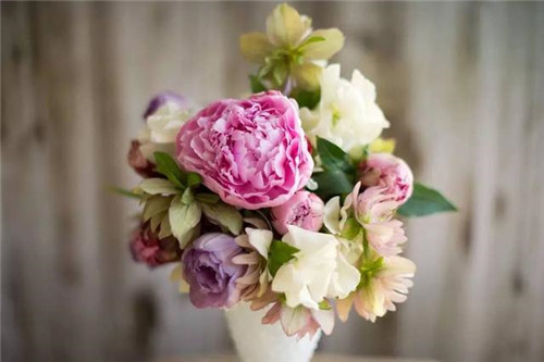 超美的插花作品，花藝師必學！