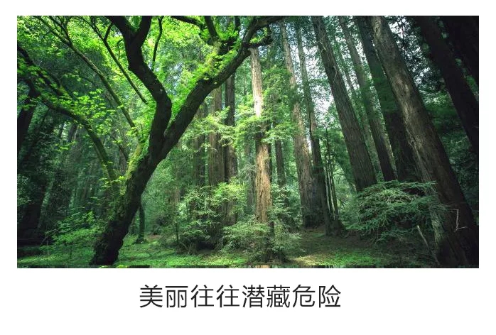 景觀中的安全性就那么重要嗎——美國淚滴公園的啟示