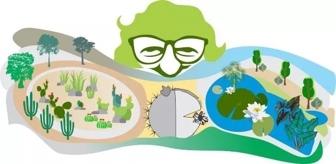 上帝的調色盤——布雷馬克思