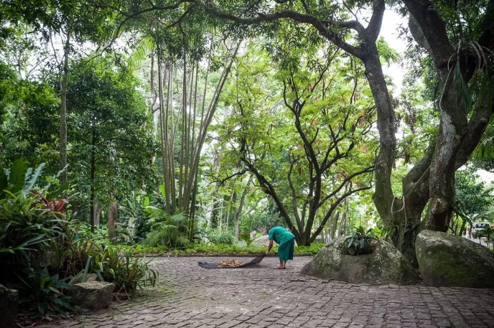 上帝的調色盤——布雷馬克思