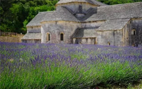 休閑農業經營的10大經驗