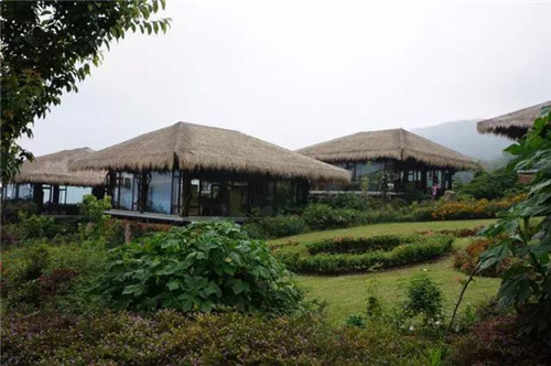 休閑農業經營的10大經驗