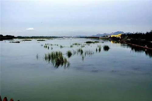 山海關(guān)原生態(tài)自然景觀游人如織的畫廊