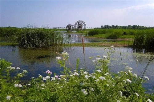 山海關(guān)原生態(tài)自然景觀游人如織的畫廊