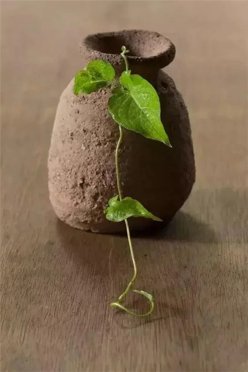 自制禪意插花，與心靈碰撞的心靈藝術