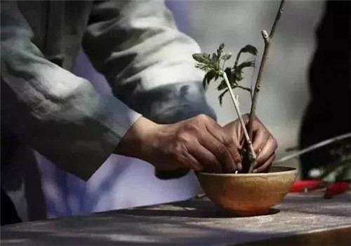 自制禪意插花，與心靈碰撞的心靈藝術