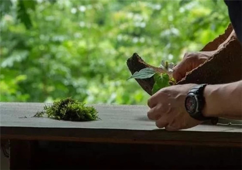 自制禪意插花，與心靈碰撞的心靈藝術