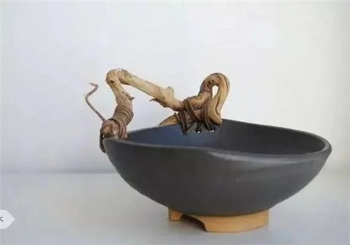 自制禪意插花，與心靈碰撞的心靈藝術