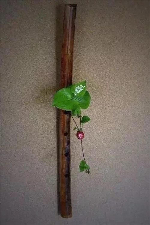 自制禪意插花，與心靈碰撞的心靈藝術