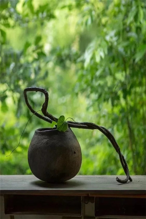 自制禪意插花，與心靈碰撞的心靈藝術