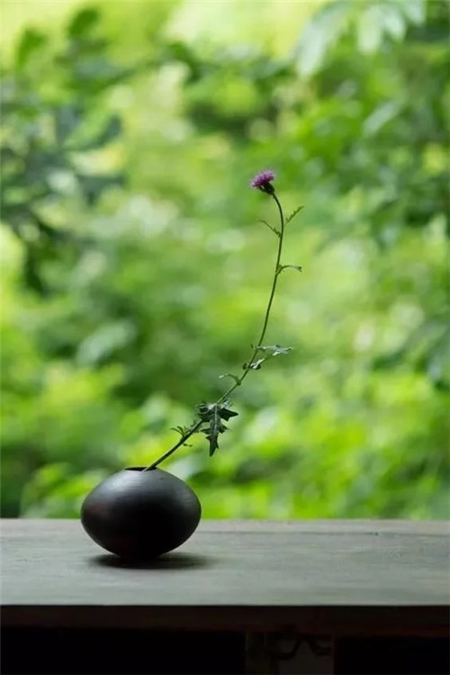 自制禪意插花，與心靈碰撞的心靈藝術