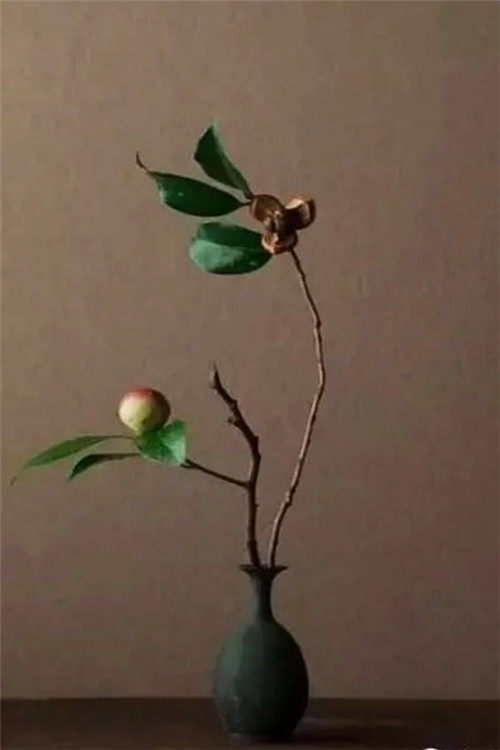 自制禪意插花，與心靈碰撞的心靈藝術