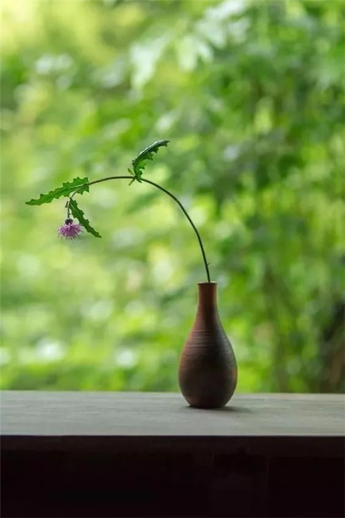 自制禪意插花，與心靈碰撞的心靈藝術