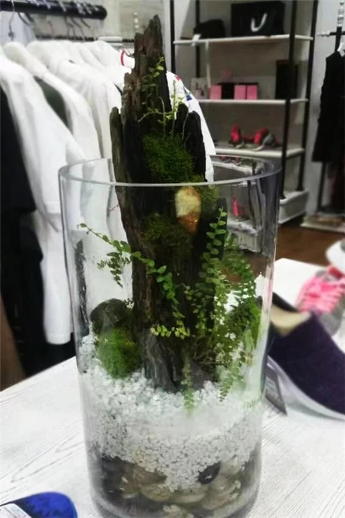 自制禪意插花，與心靈碰撞的心靈藝術