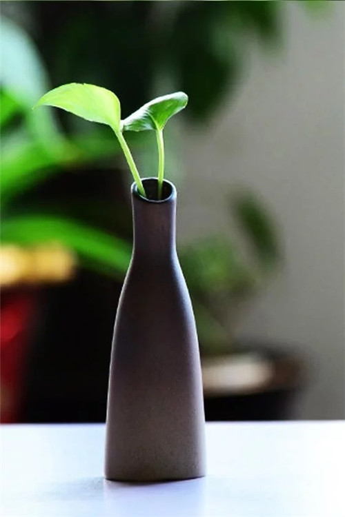 自制禪意插花，與心靈碰撞的心靈藝術