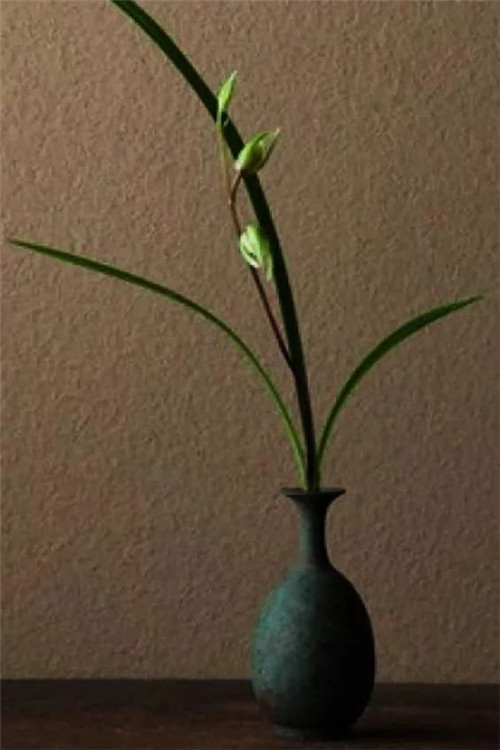 自制禪意插花，與心靈碰撞的心靈藝術