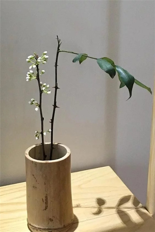 自制禪意插花，與心靈碰撞的心靈藝術