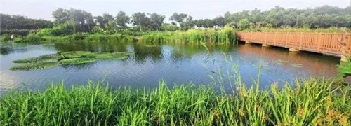 東莞生態園：海綿城市為術，區域整合為道