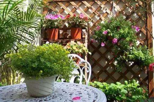 不想給花卉換盆，花卉盆土不板結(jié)怎么辦