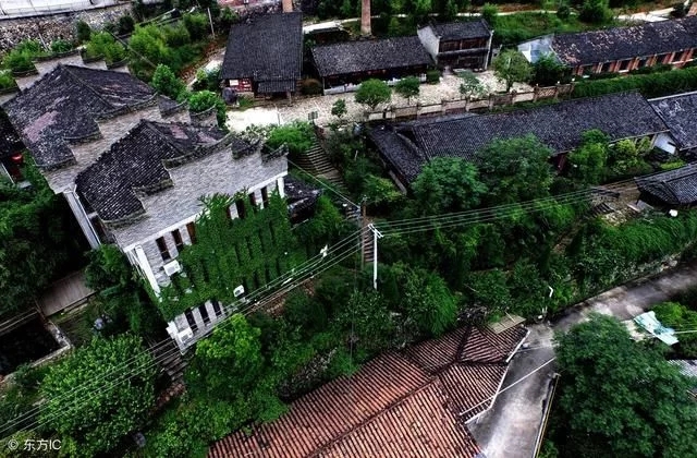 古樹奇緣西來小鎮