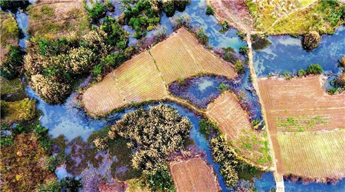 航拍生態綠洲——都安澄江國家濕地公園