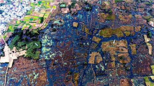 航拍生態綠洲——都安澄江國家濕地公園