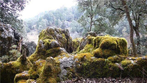 美如仙境！四川又添兩處國家級地質公園