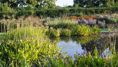 這位設計師花了32年,沉淀出了一片荒野景觀