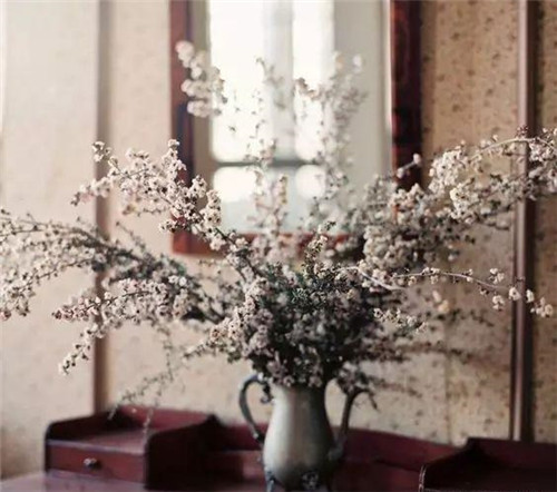 花藝中最受歡迎的10種花材，你都知道嗎？