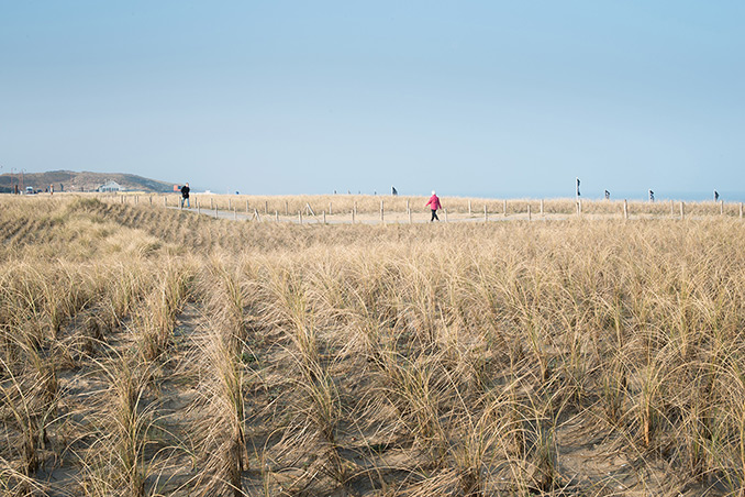 面對環境問題，我們為什么說前途是光明的？