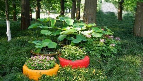 農(nóng)家樂(lè)和休閑農(nóng)莊里那些迷人的景觀小品