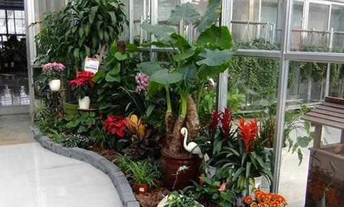 農(nóng)家樂(lè)和休閑農(nóng)莊里那些迷人的景觀小品