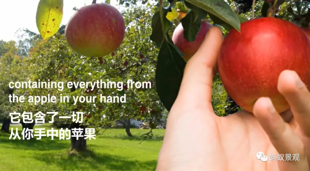 如何成為一名景觀設計師(上)