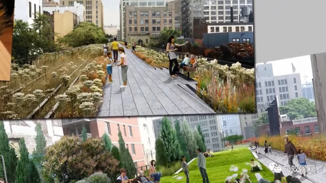 如何成為一名景觀設計師(上)