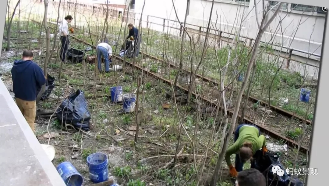 如何成為一名景觀設計師(上)