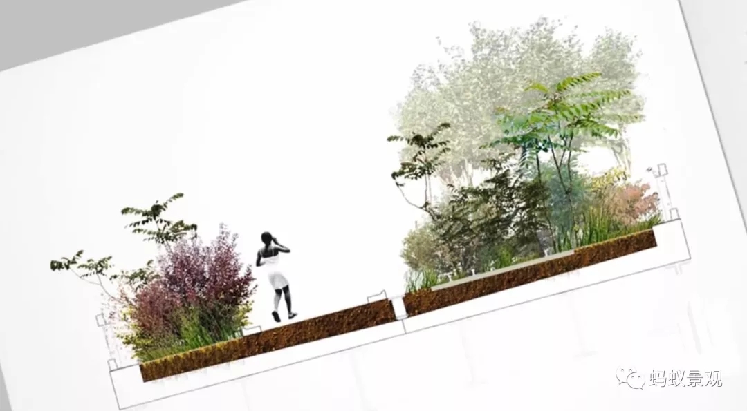 如何成為一名景觀設計師(上)