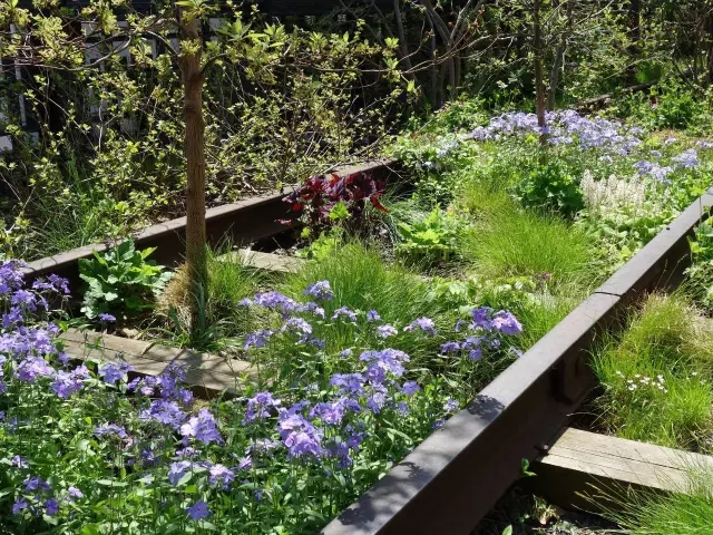 高線公園為什么兩奪asla大獎？