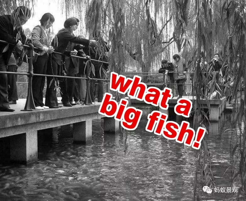 留園技術詳解手冊(上篇)