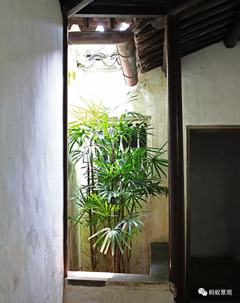 留園技術詳解手冊(上篇)