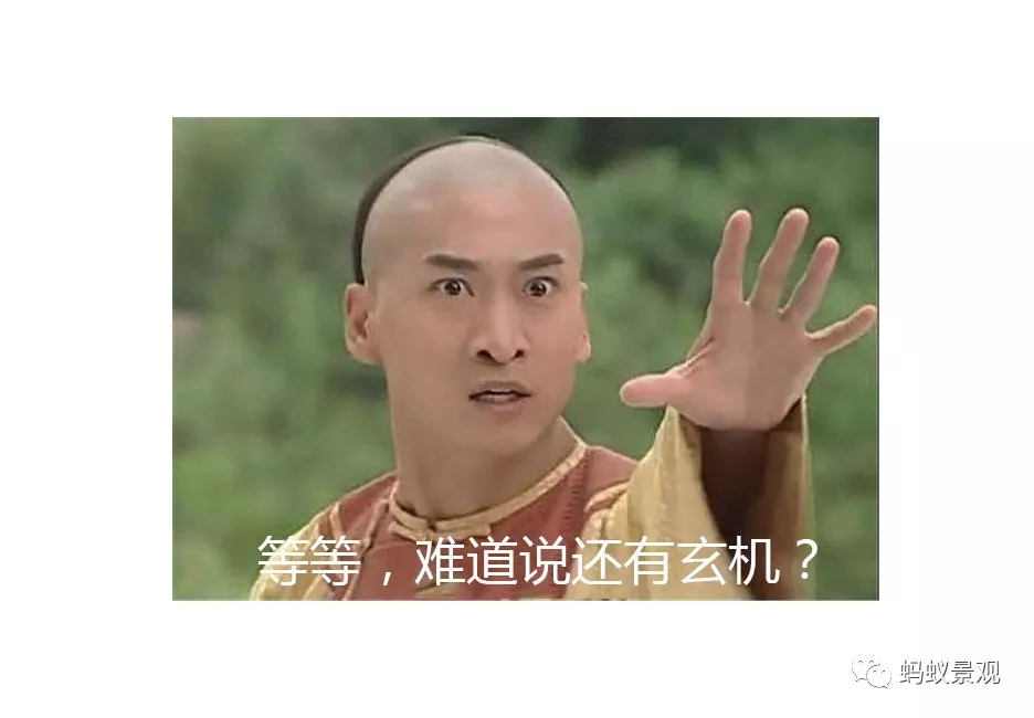 留園技術詳解手冊(上篇)