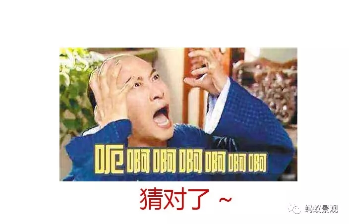 留園技術詳解手冊(上篇)