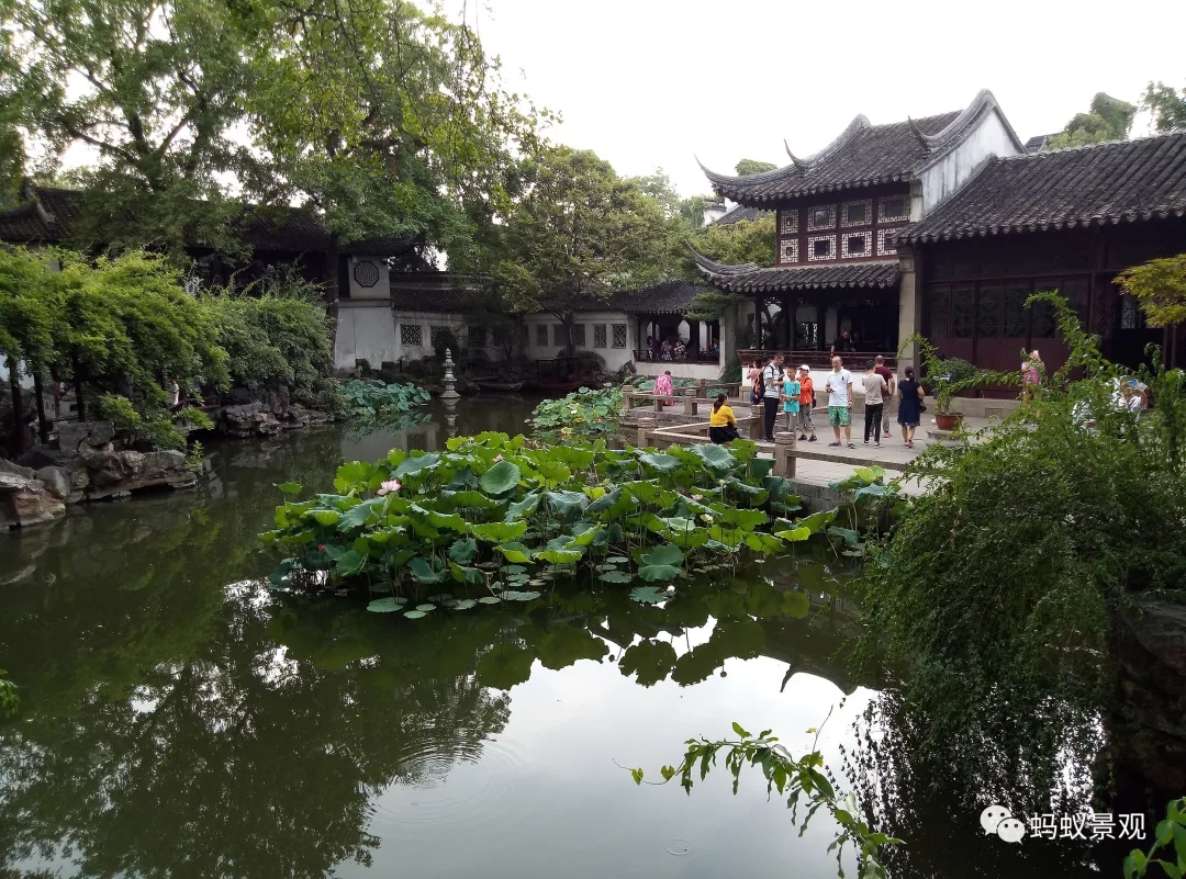 留園技術詳解手冊(上篇)