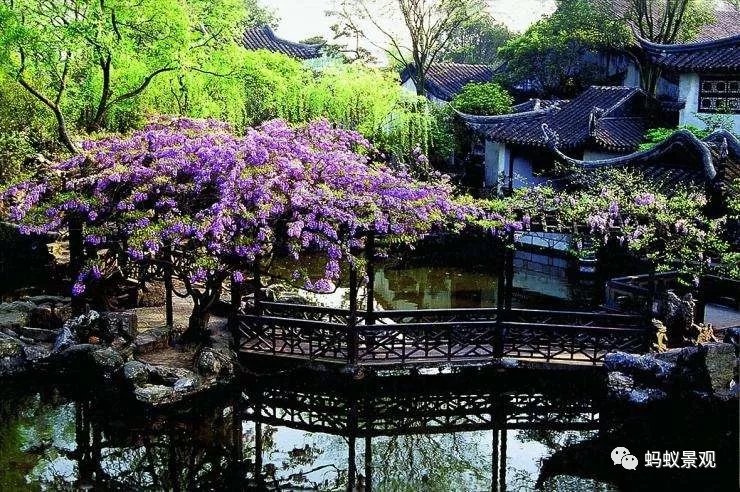 留園技術詳解手冊(上篇)